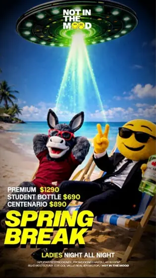 Flyer de Spring Break, Not in the Mood